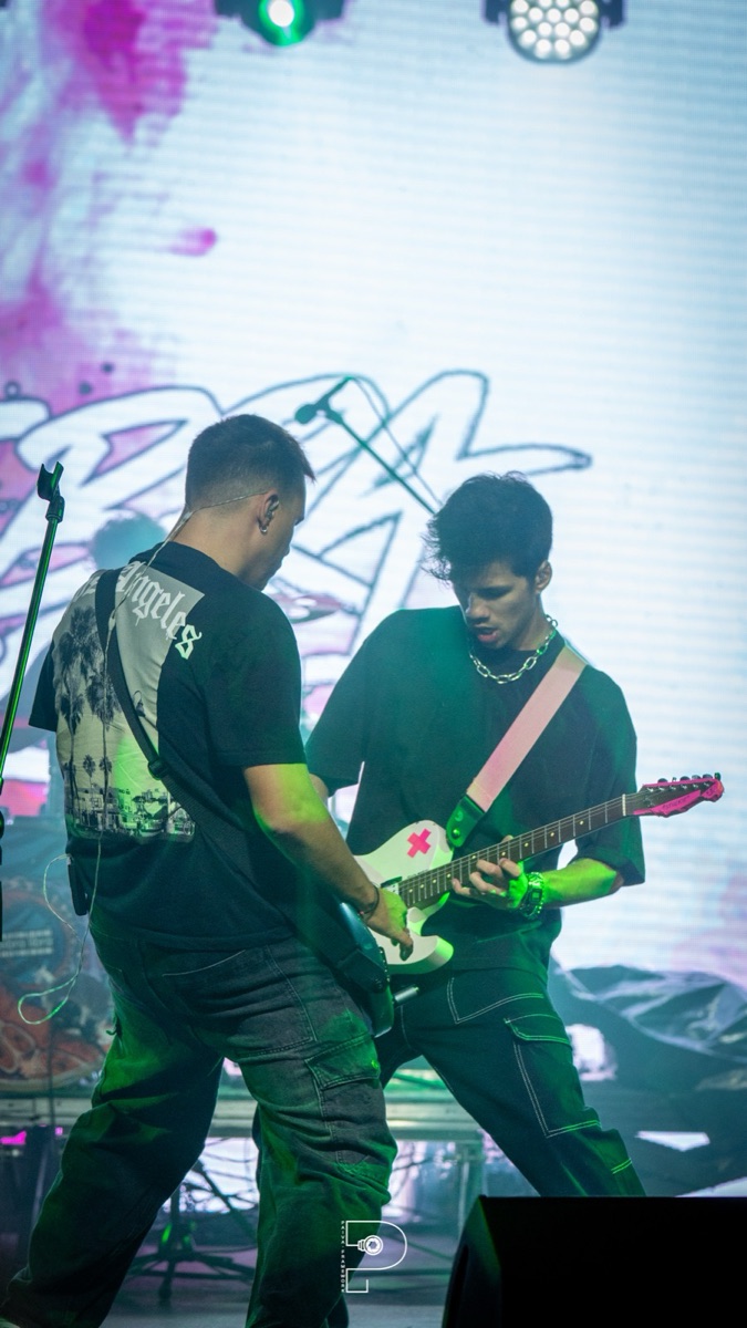 Zebra Libra ao vivo